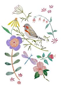 Fine Art Print - Finch