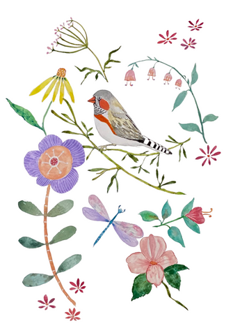 Fine Art Print - Finch